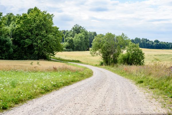Cost of Stone Driveway Repair in North Canton