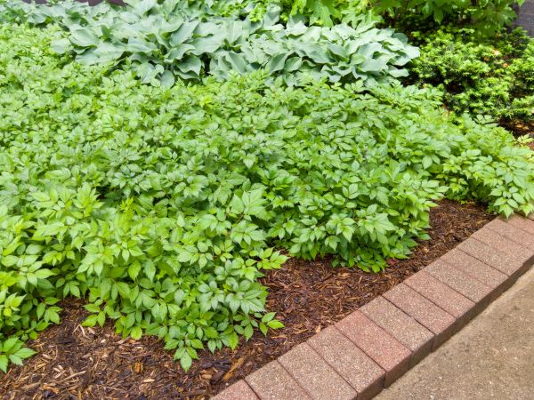 Cost of Brick Hardscaping in North Canton