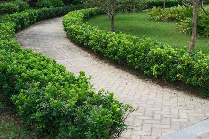 Pathway Design