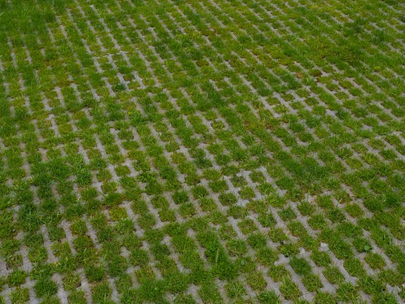 Permeable Concrete Paving